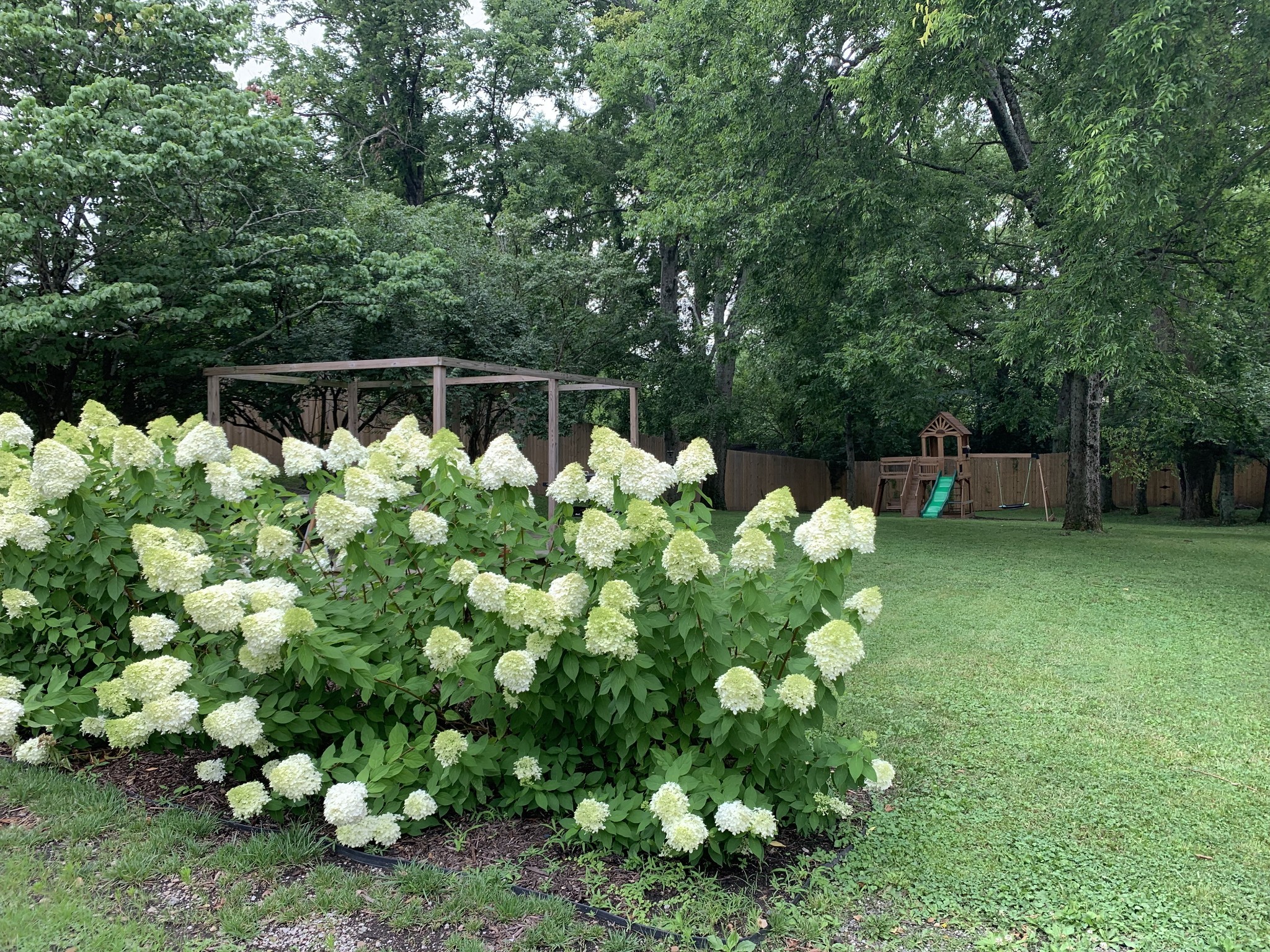 691 Harding Place Nashville, TN 37211 - Photo 52 of 54 a backyard of a house with lots of green space