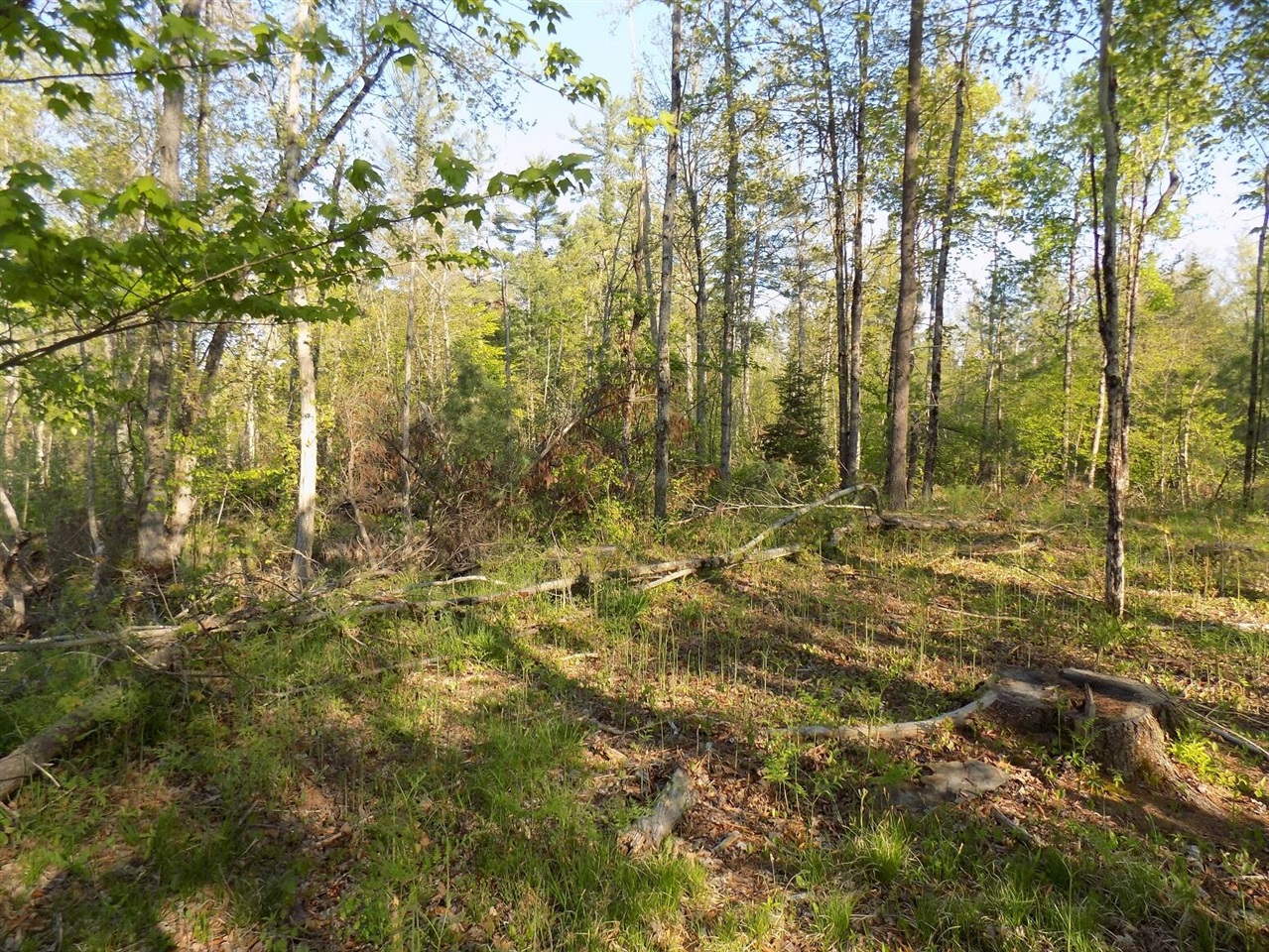 8590 West Long Lake Road Harrison, MI 48625 - Photo 39 of 50