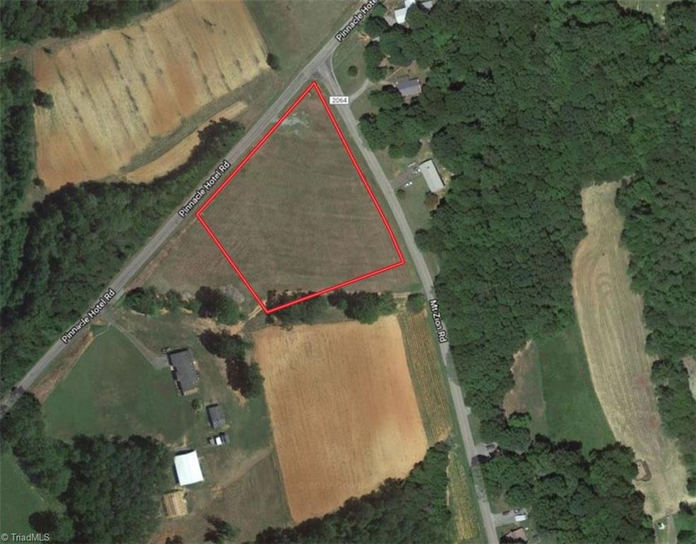 0 Mt Zion Road Pinnacle, NC 27043 - Photo 1 of 1