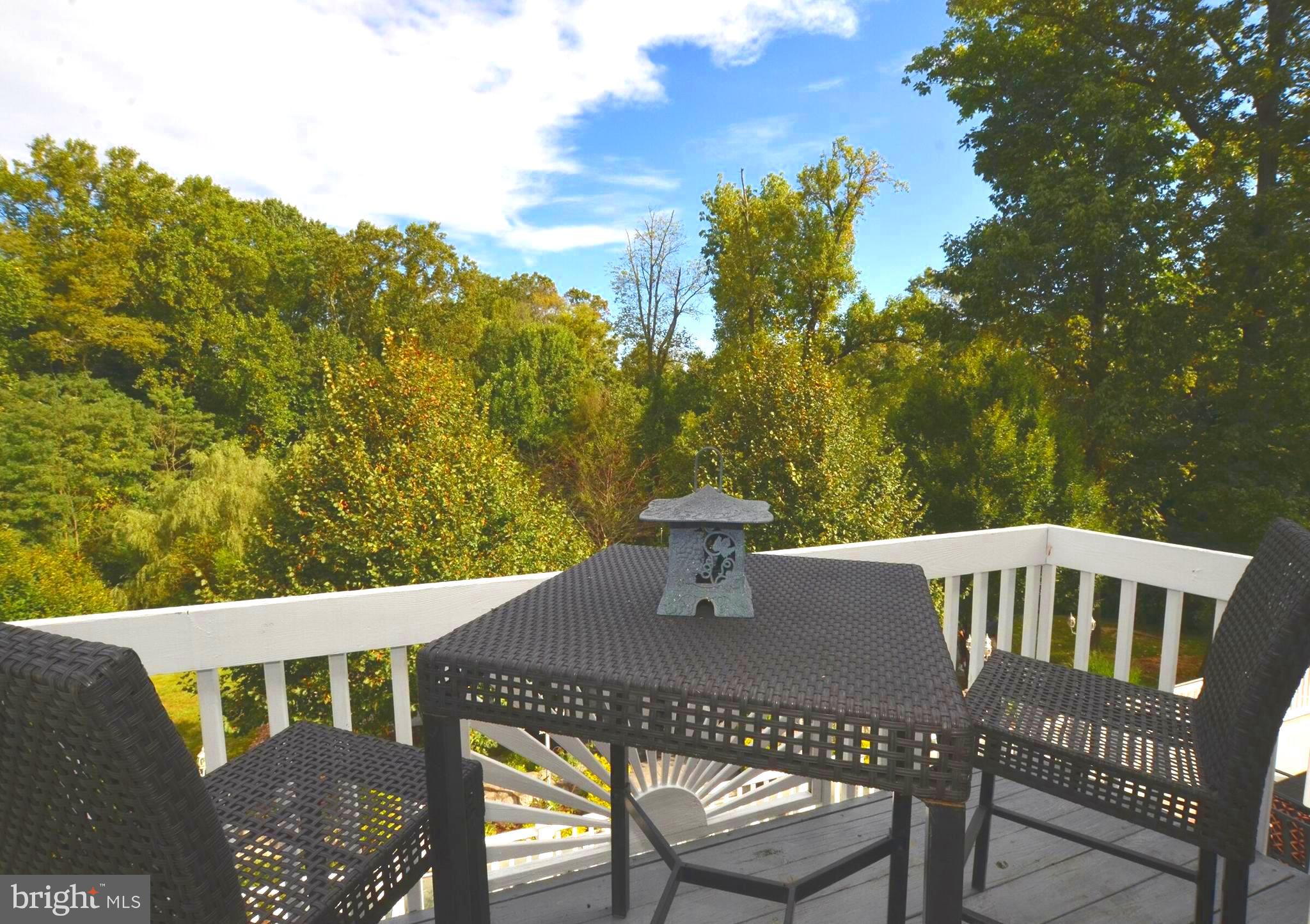 415 Marie Drive Wallingford, PA 19086 - Photo 47 of 57