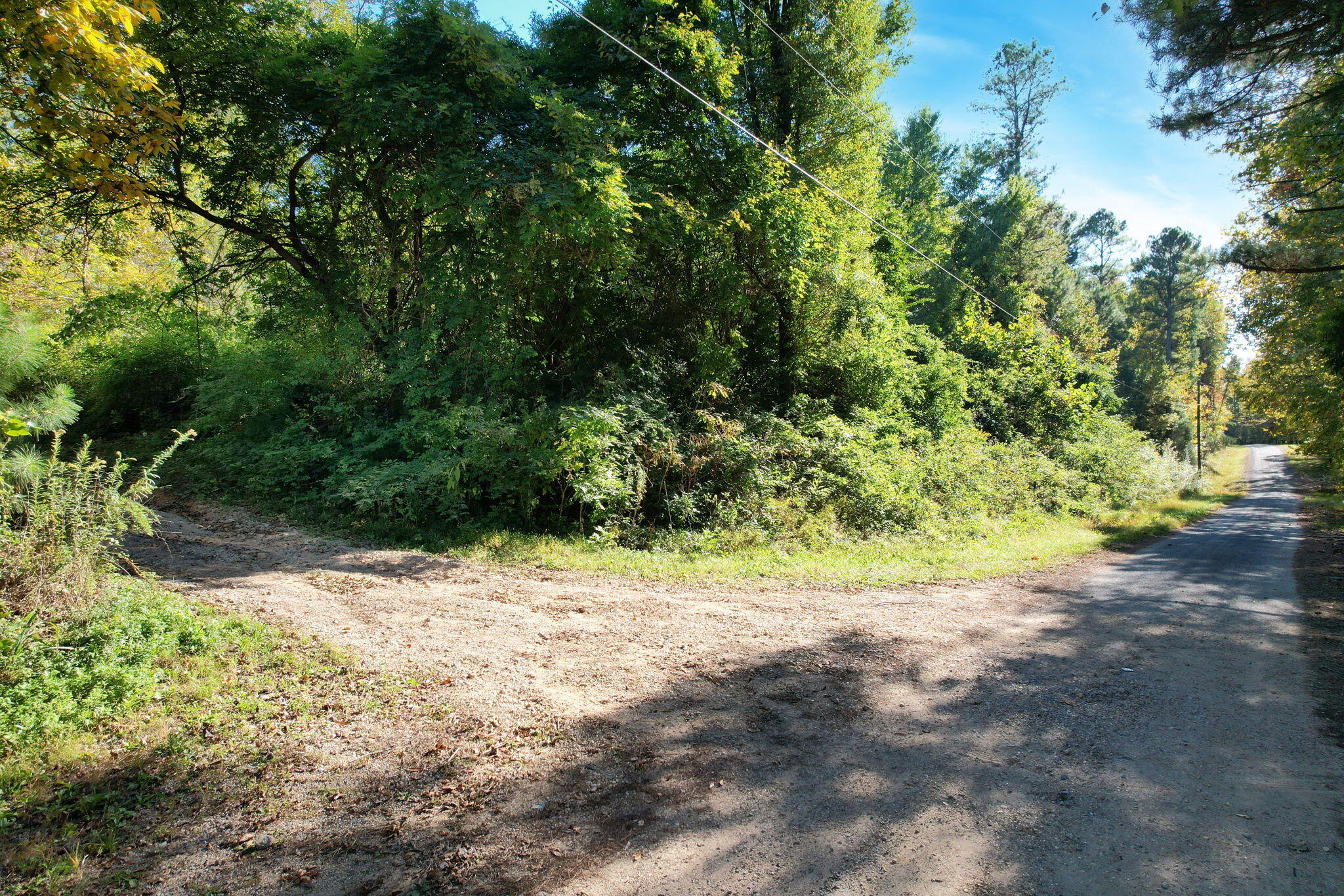 264 Len Mar Road Spring City, TN 37381 - Photo 2 of 20 1-web-or-mls-DJI_0181