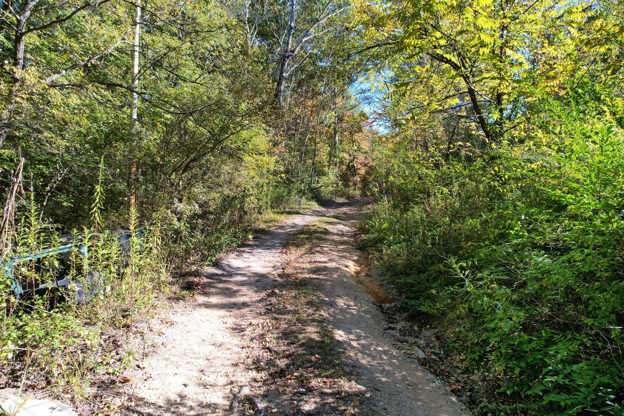264 Len Mar Road Spring City, TN 37381 - Photo 4 of 20 3-web-or-mls-DJI_0184