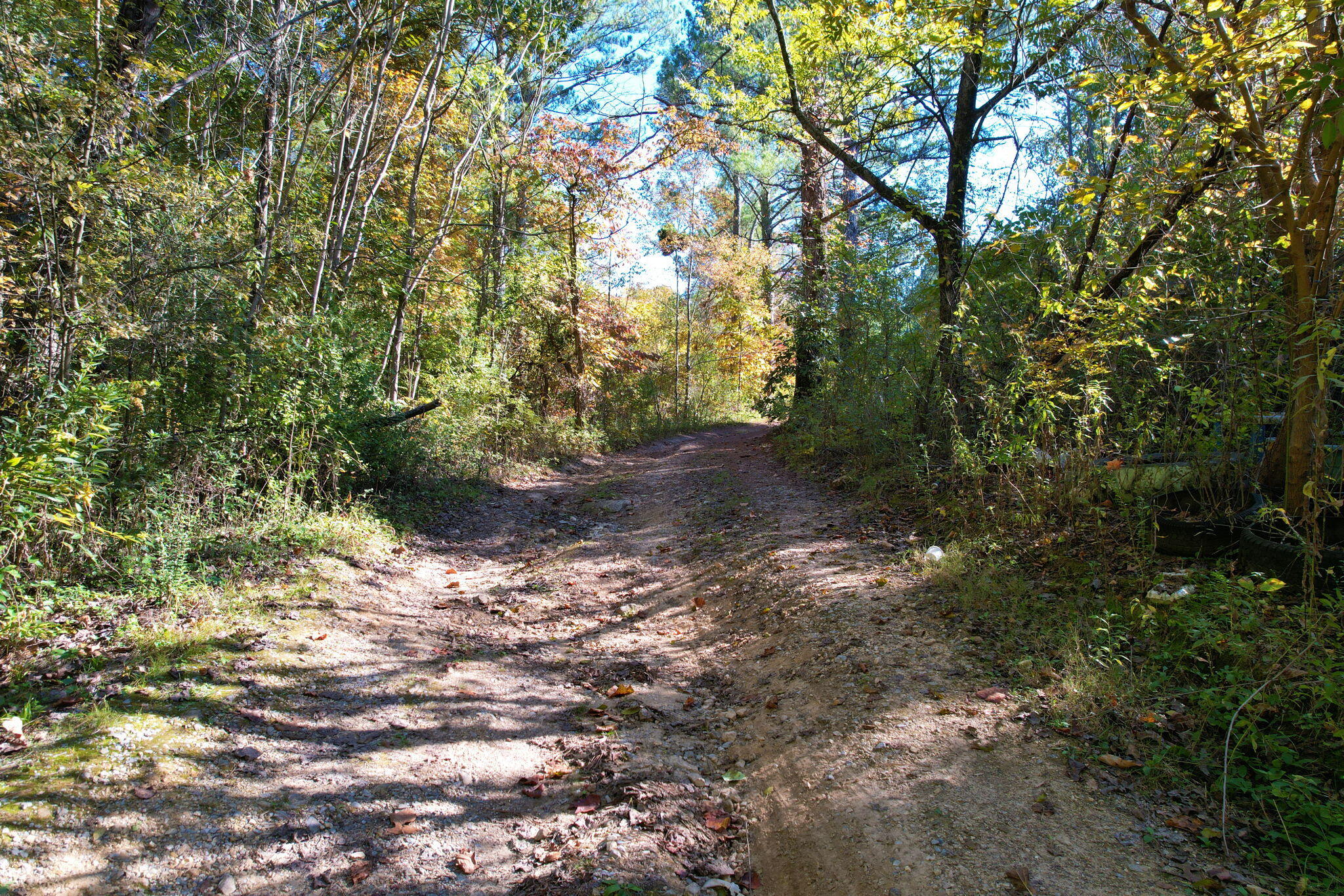 264 Len Mar Road Spring City, TN 37381 - Photo 5 of 20 4-web-or-mls-DJI_0185