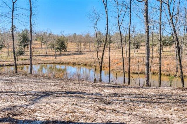 Parcel B Old Dibble Road Aiken, SC 29803 - Photo 12 of 17