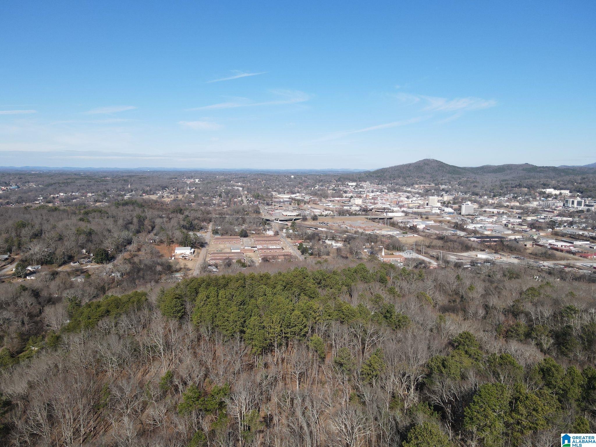 0 West 3rd Street, Unit 1 Anniston, AL 36201 - Photo 7 of 16