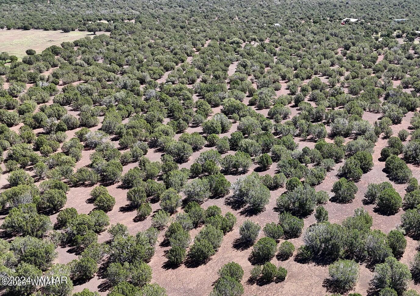 1235 Baha Road Show Low, AZ 85901 - Photo 2 of 10 20240905150714010191000000-o