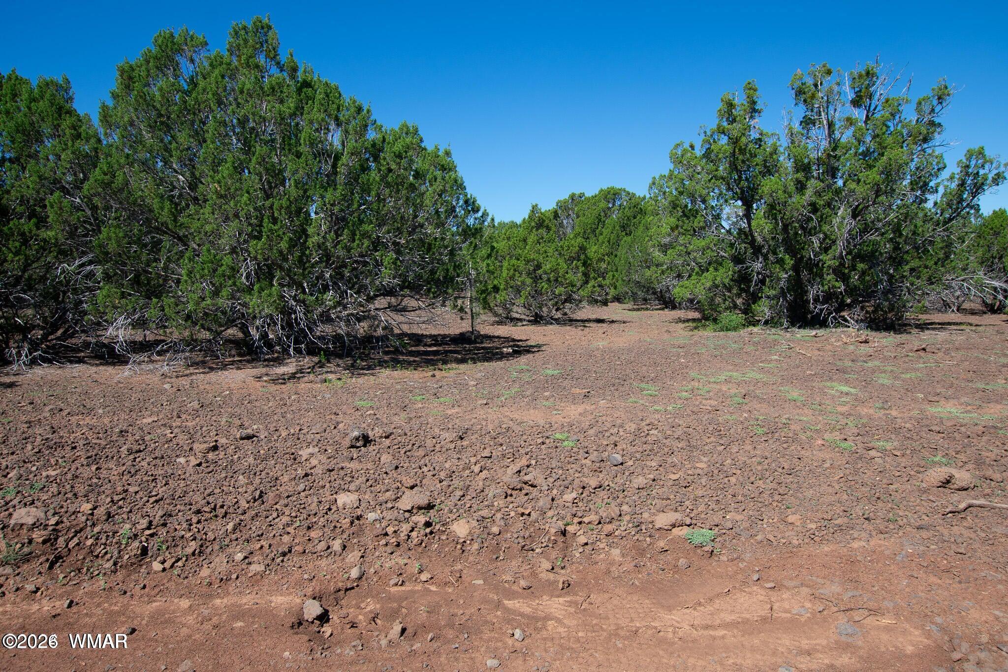 1235 Baha Road Show Low, AZ 85901 - Photo 4 of 10 20240905150739648932000000-o
