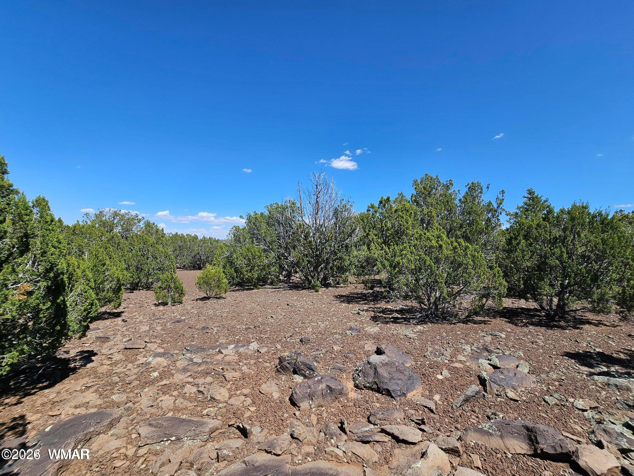 1235 Baha Road Show Low, AZ 85901 - Photo 7 of 10 20250808230545740969000000-o