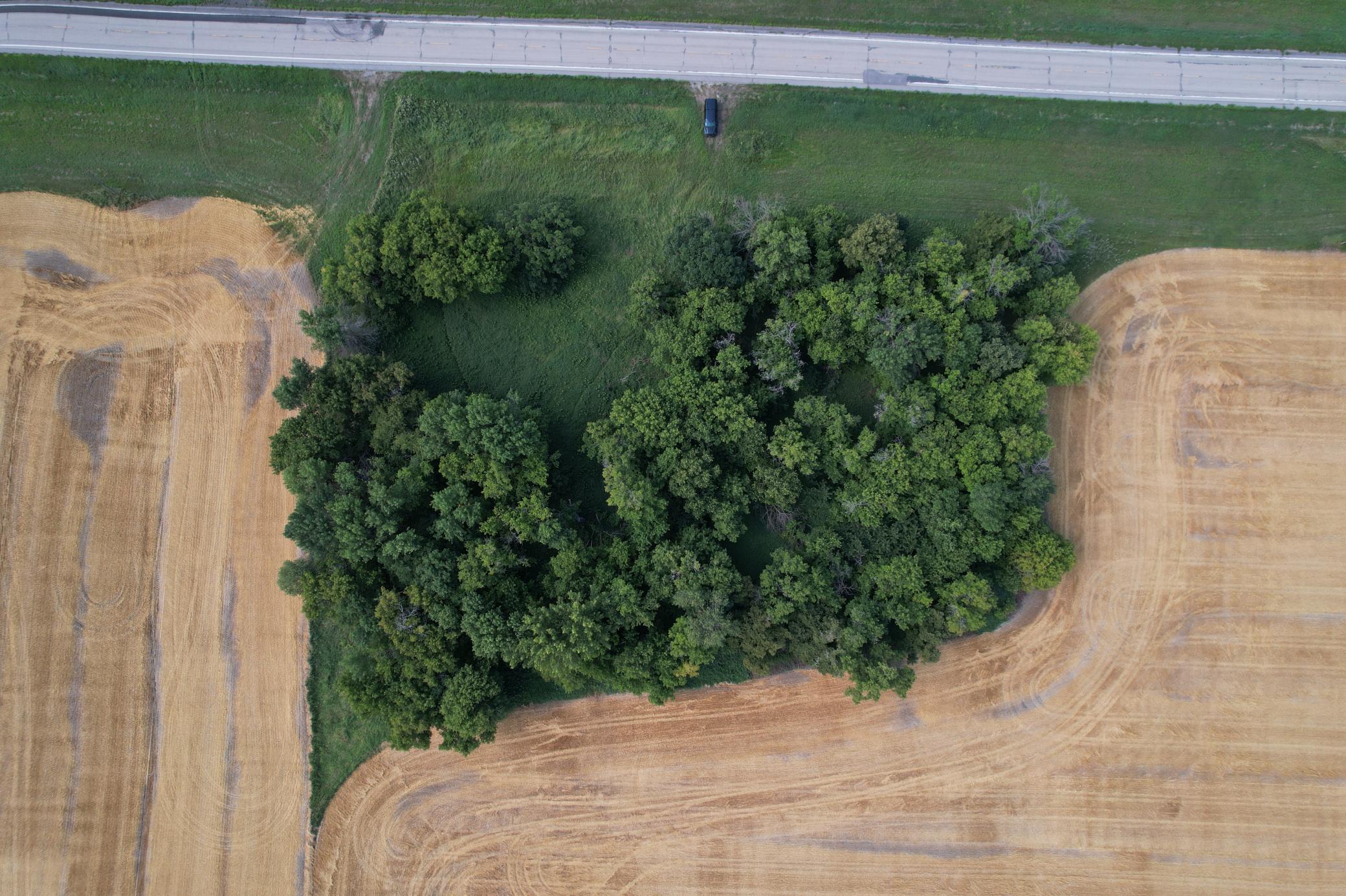 0 Rural Oslo, MN 56744 - Photo 19 of 26 Gallery Image 19