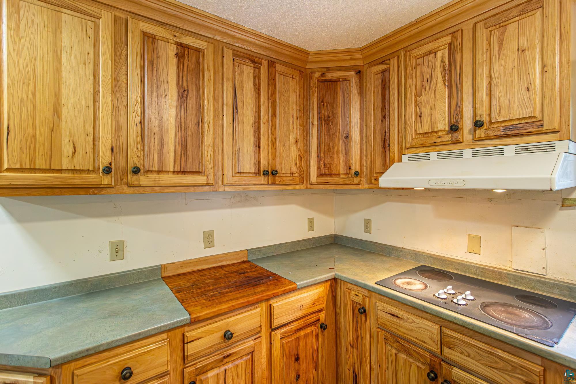 438 Buckview Road Ely, MN 55731 - Photo 7 of 99