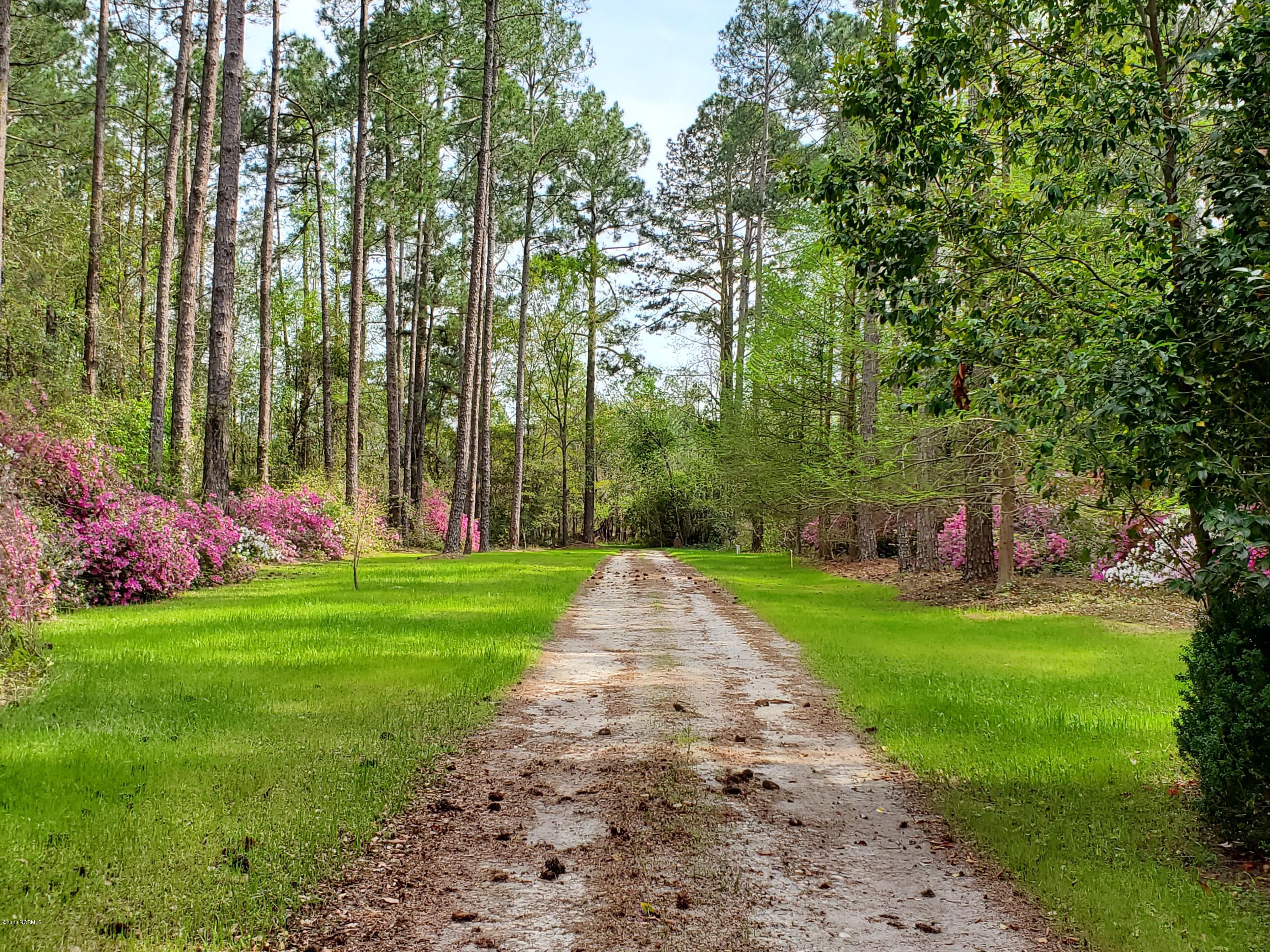 886 Golf Course Road Whiteville, NC 28472 - Photo 22 of 36 Long Driveway to Property
