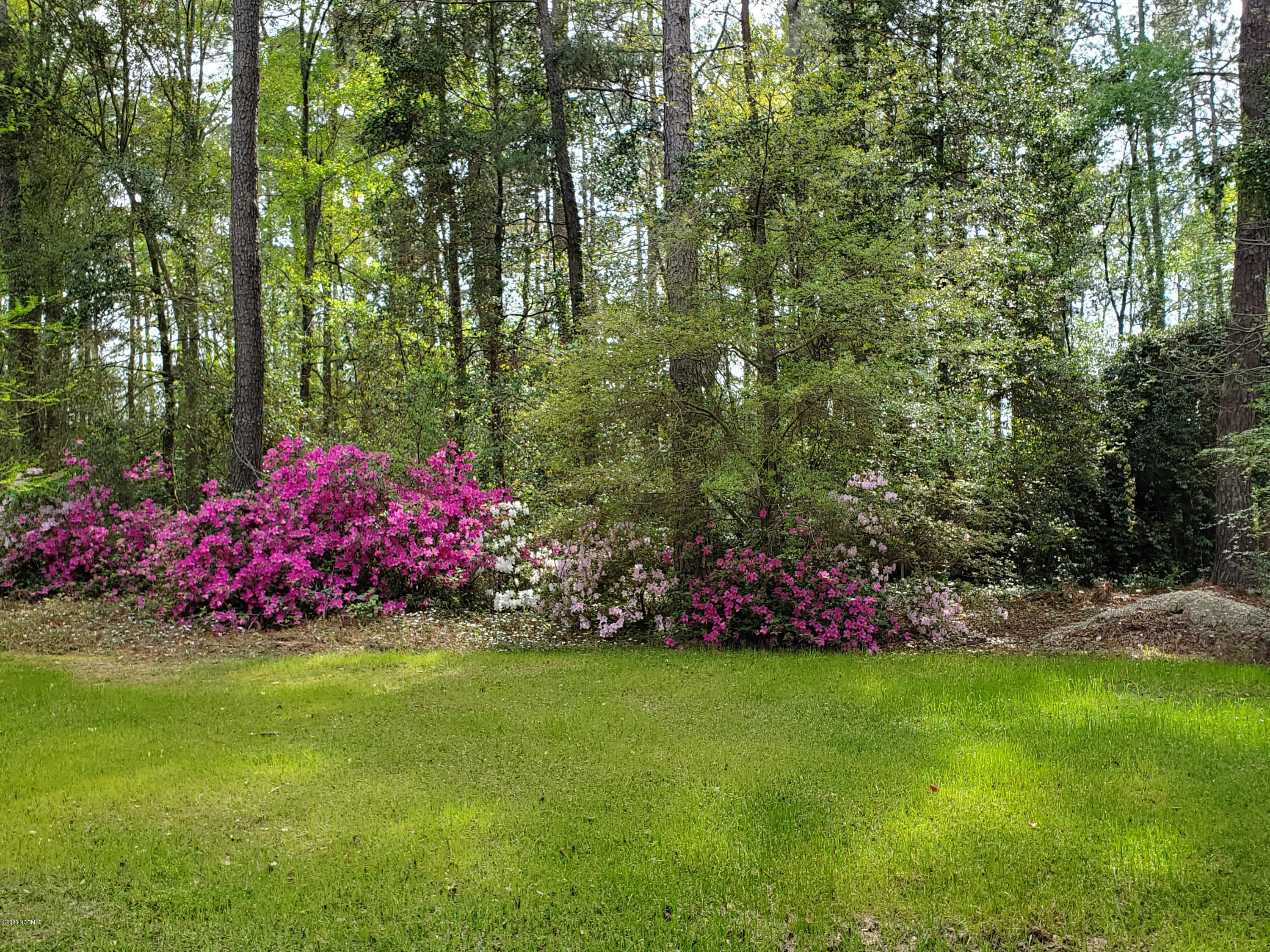 886 Golf Course Road Whiteville, NC 28472 - Photo 26 of 36 Azaleas