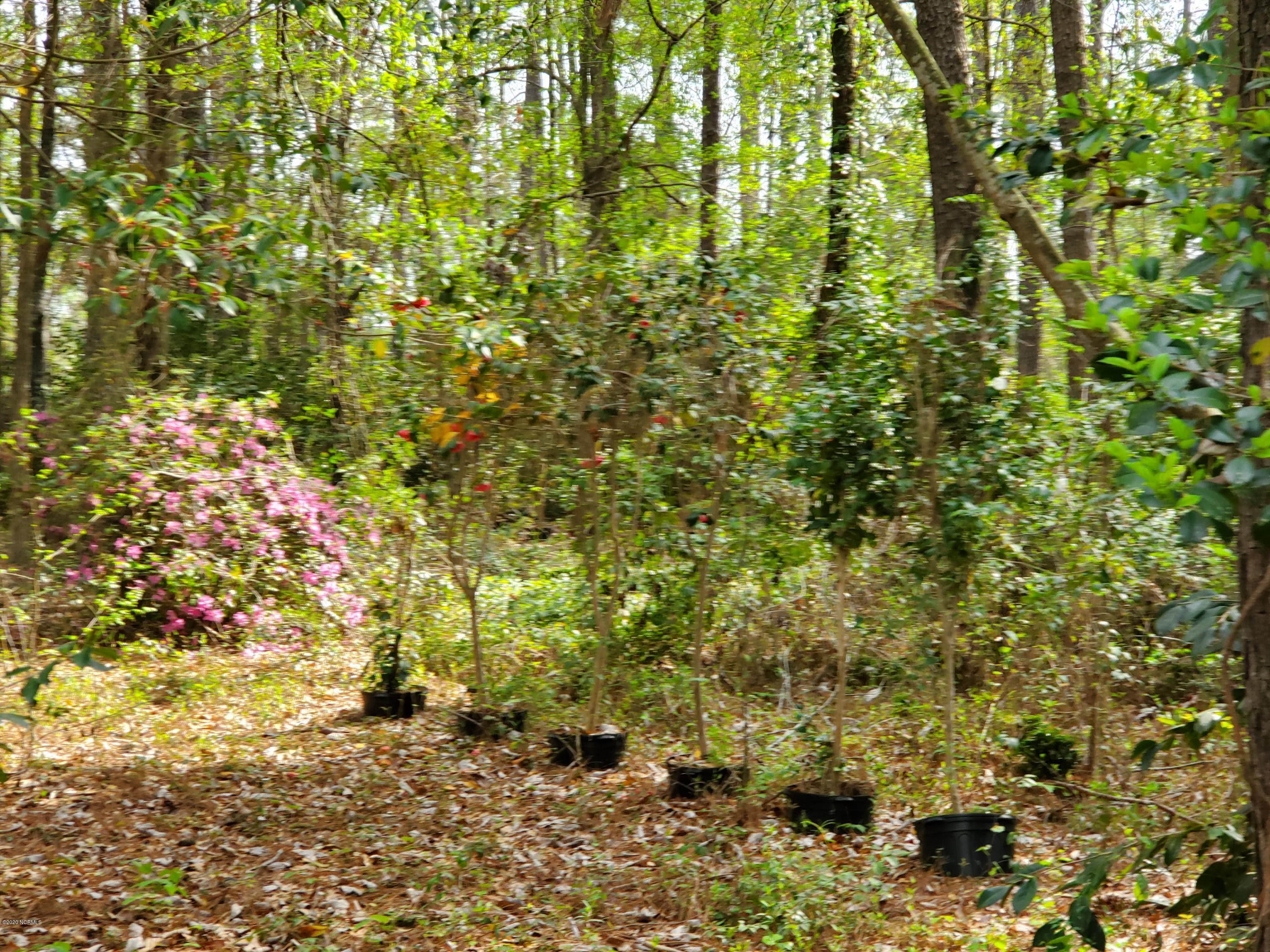 886 Golf Course Road Whiteville, NC 28472 - Photo 28 of 36 Plant Nursery