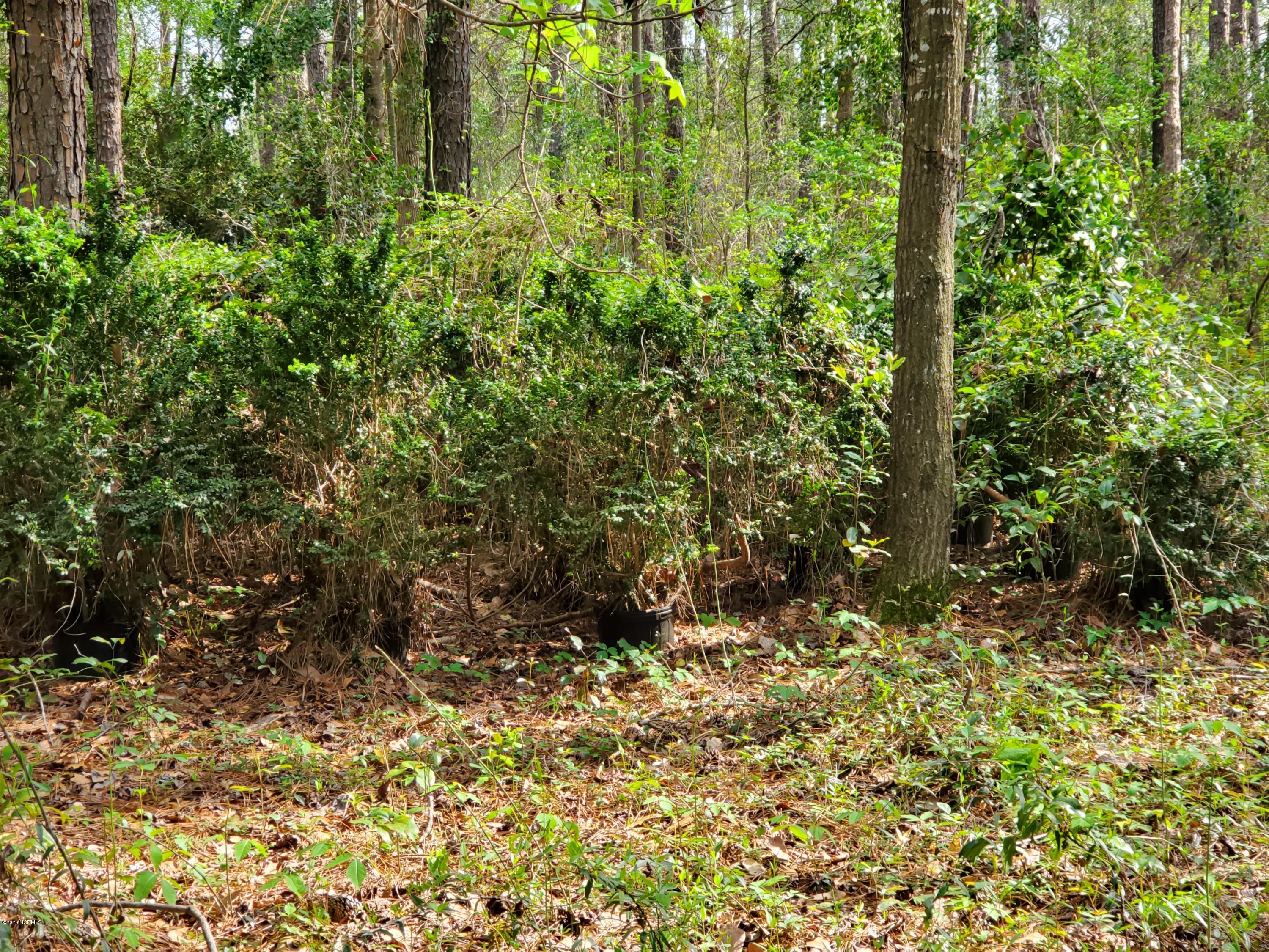 886 Golf Course Road Whiteville, NC 28472 - Photo 32 of 36 Wooded Area