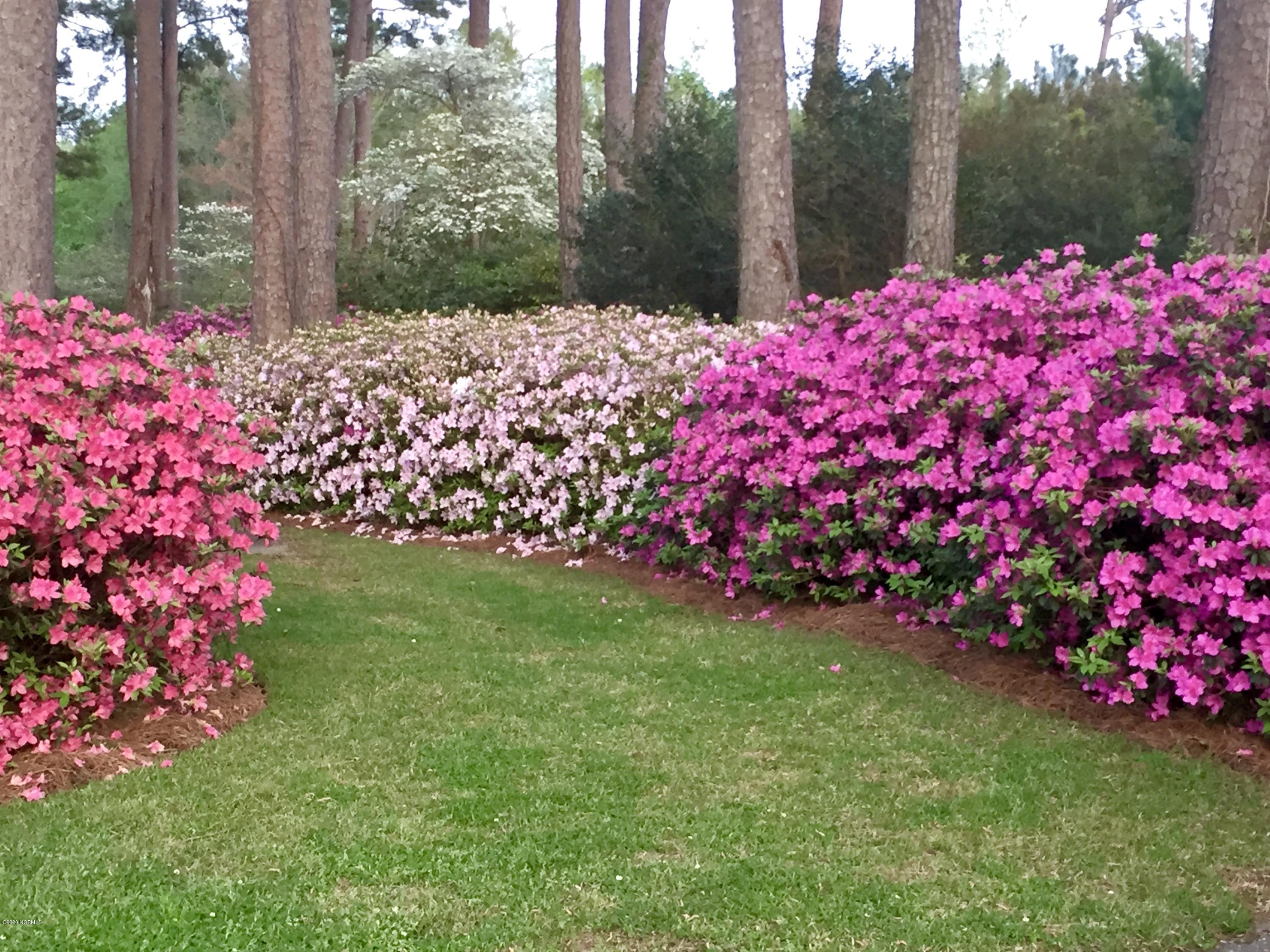 886 Golf Course Road Whiteville, NC 28472 - Photo 33 of 36 Azaleas