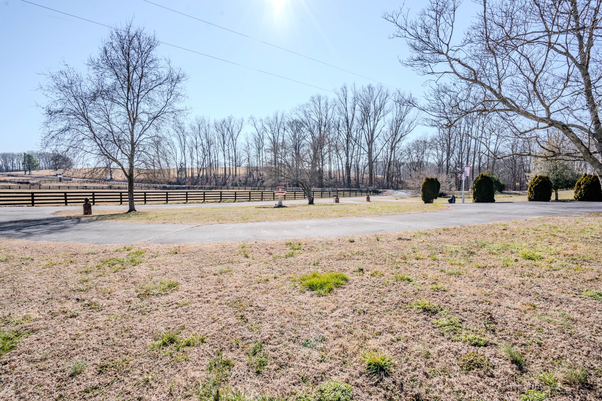 25 Peters Lane Loretto, TN 38469 - Photo 36 of 44 a street view covered with snow