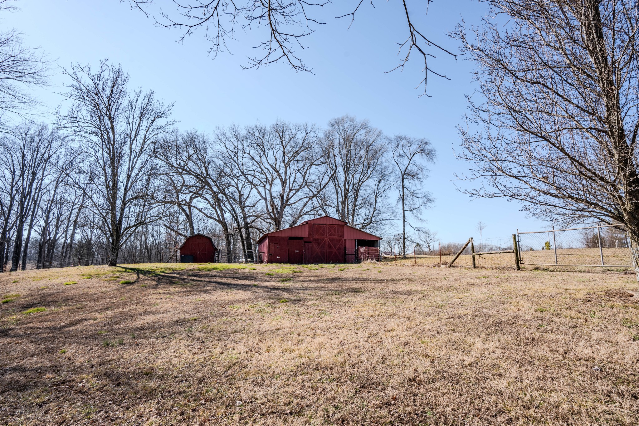 25 Peters Lane Loretto, TN 38469 - Photo 40 of 44 a street view with large trees