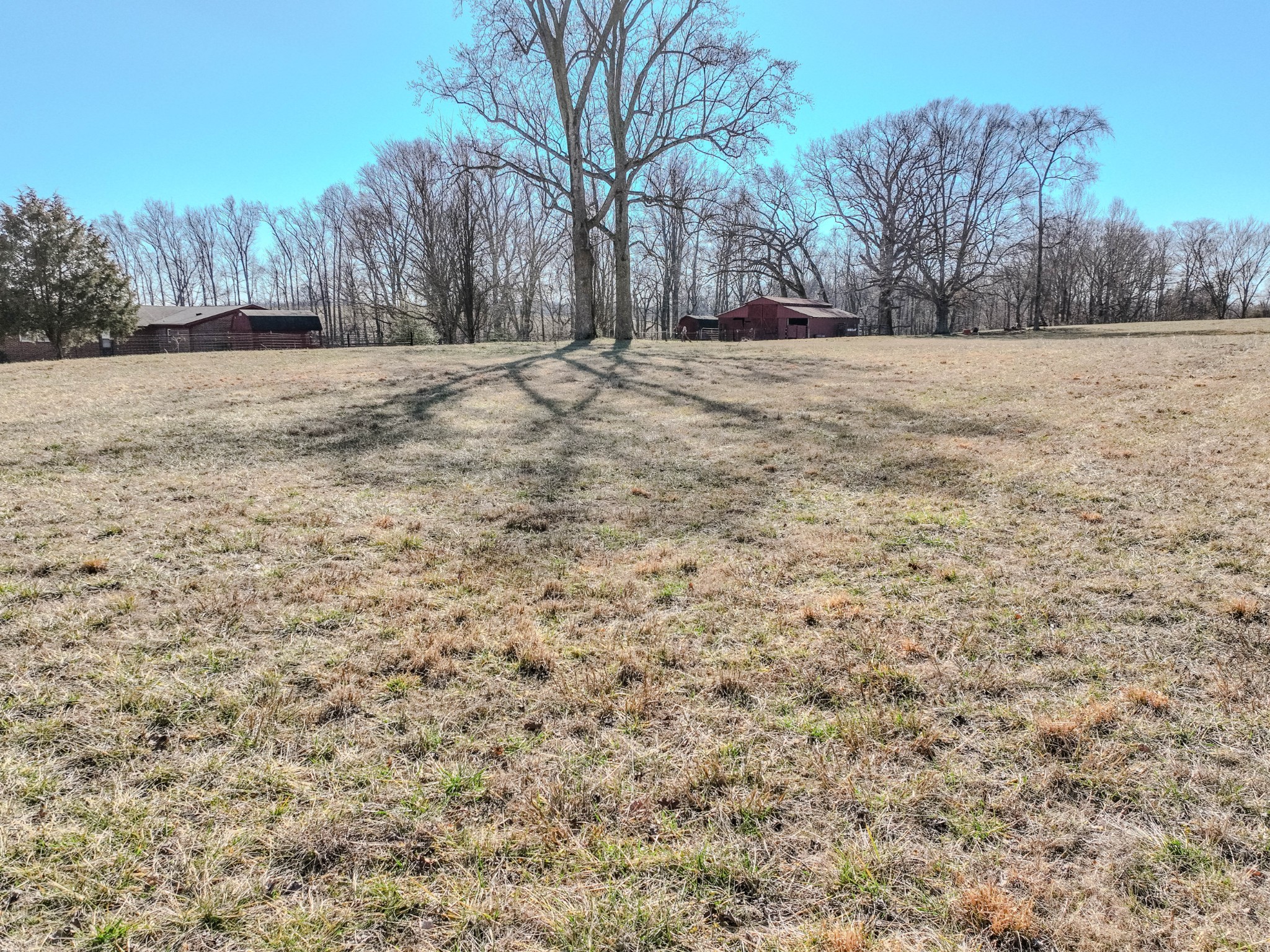 25 Peters Lane Loretto, TN 38469 - Photo 4 of 44