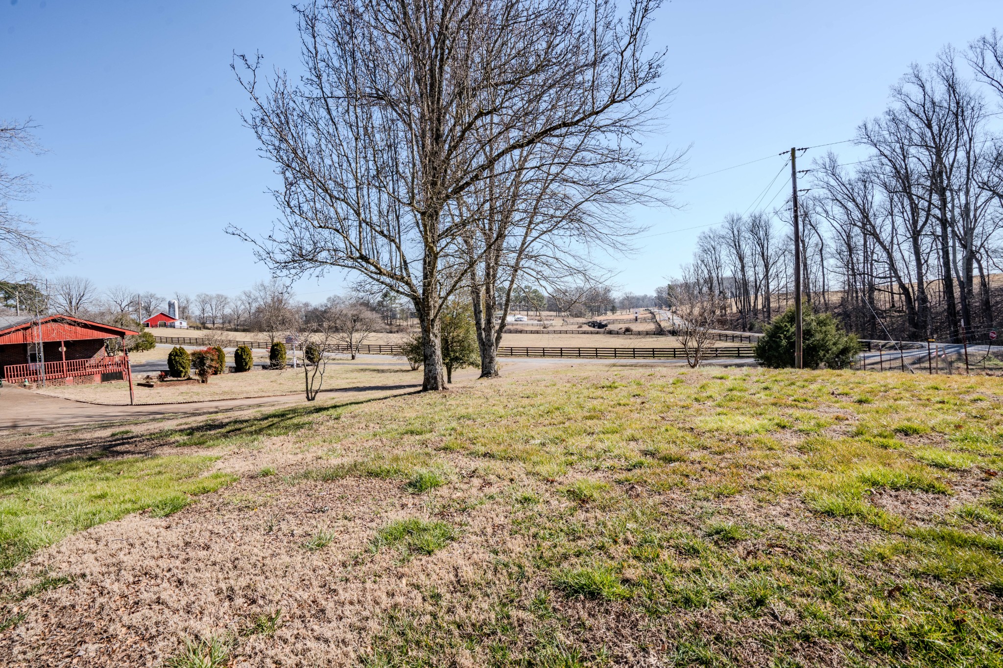 25 Peters Lane Loretto, TN 38469 - Photo 42 of 44 a view of yard with trees