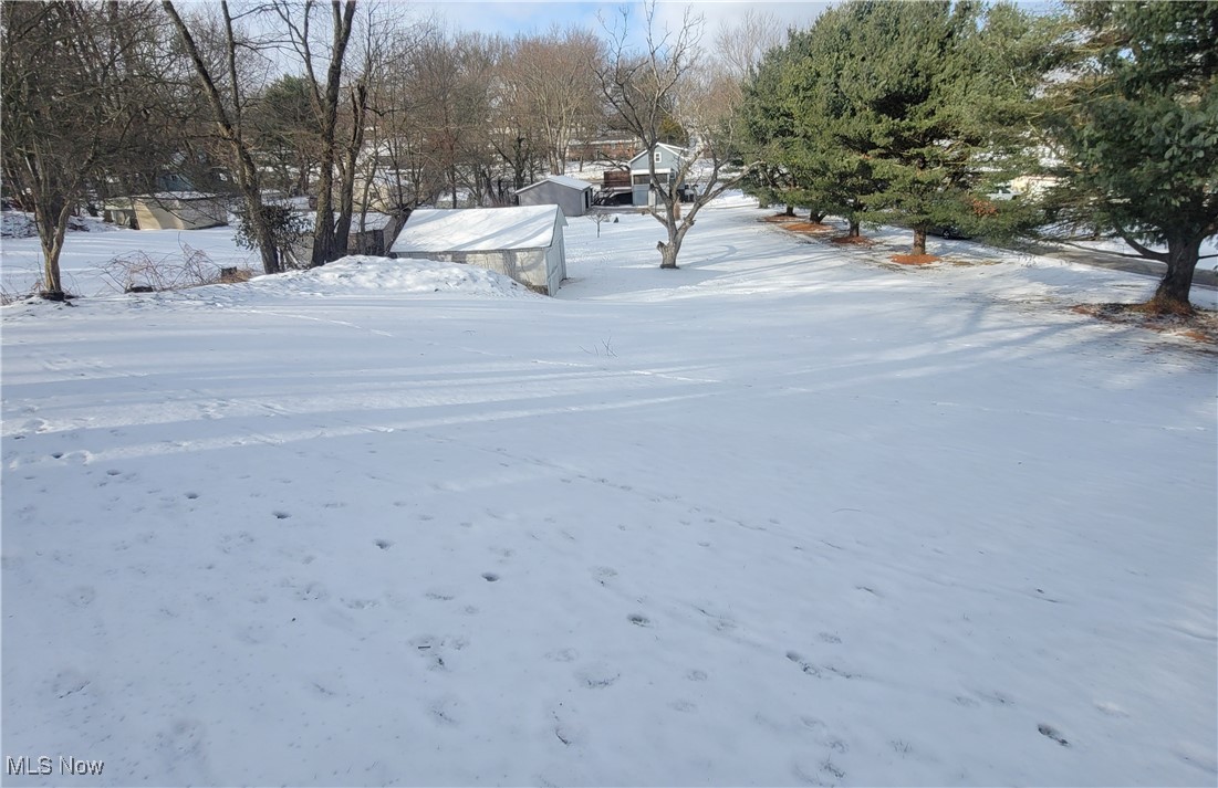 4145 Manchester Road Akron, OH 44319 - Photo 14 of 28 View of yard layered in snow