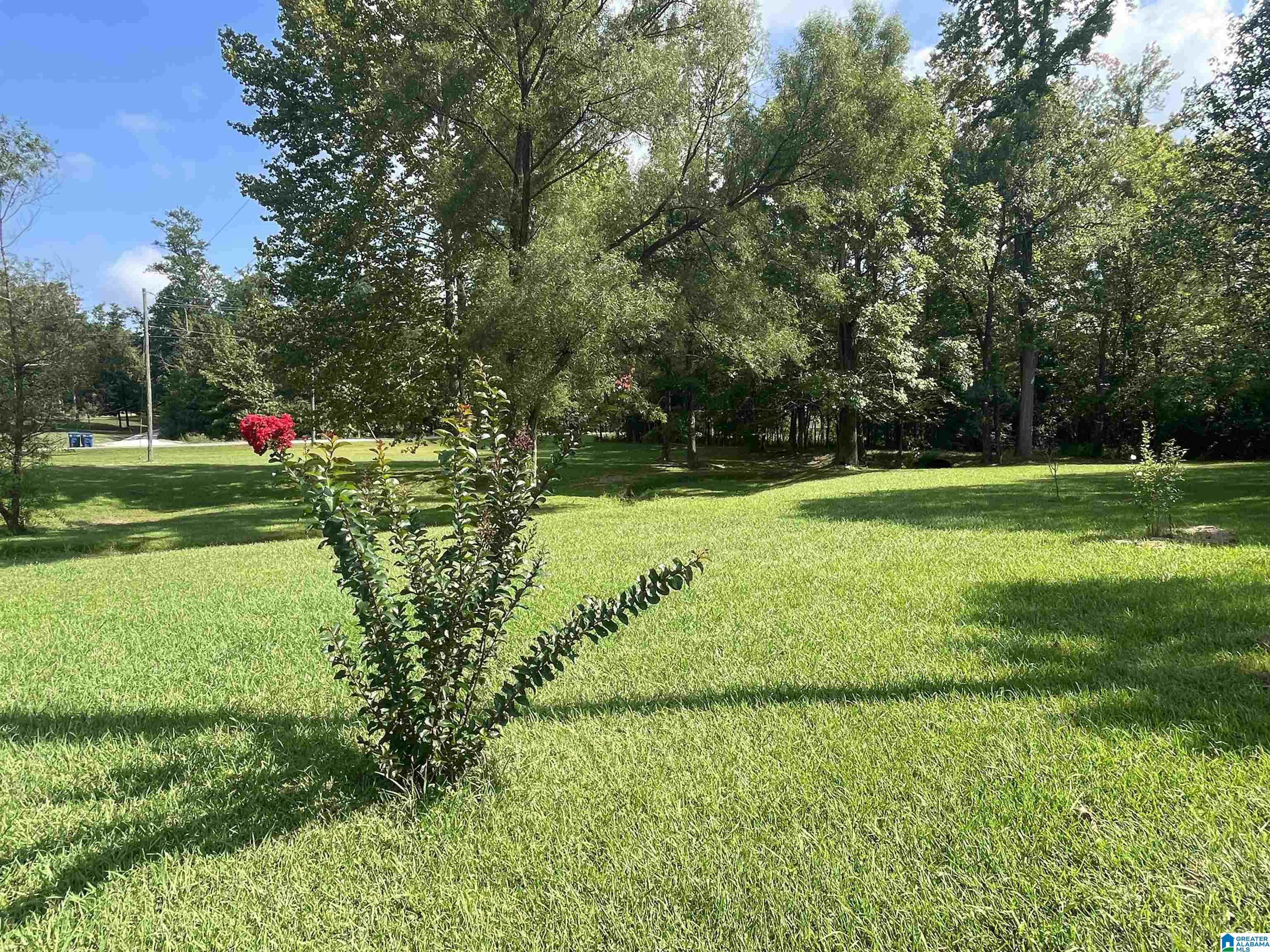 3304 Possum Trot Road Piedmont, AL 36272 - Photo 46 of 60
