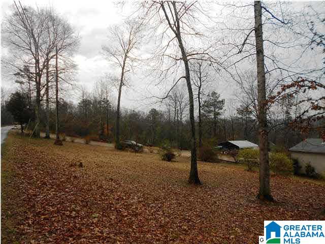 6525 Mountain Ridge Road Trussville, AL 35173 - Photo 30 of 32