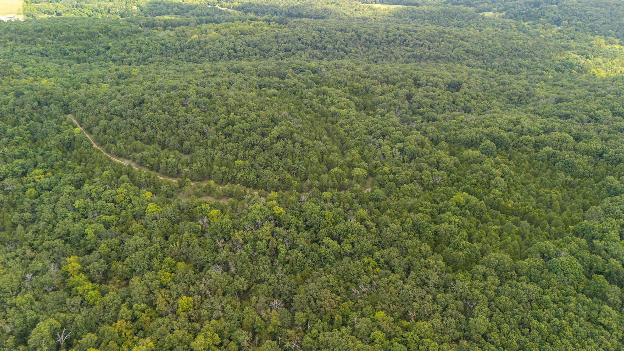 0 Merritt Road Chadwick, MO 65629 - Photo 8 of 12 FrameAndFocus_Merrit-17