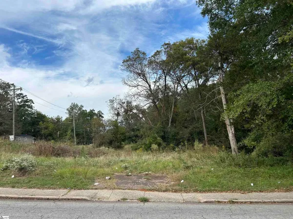 $40,000 | 0 Sullivan Street, Laurens, SC 29360
