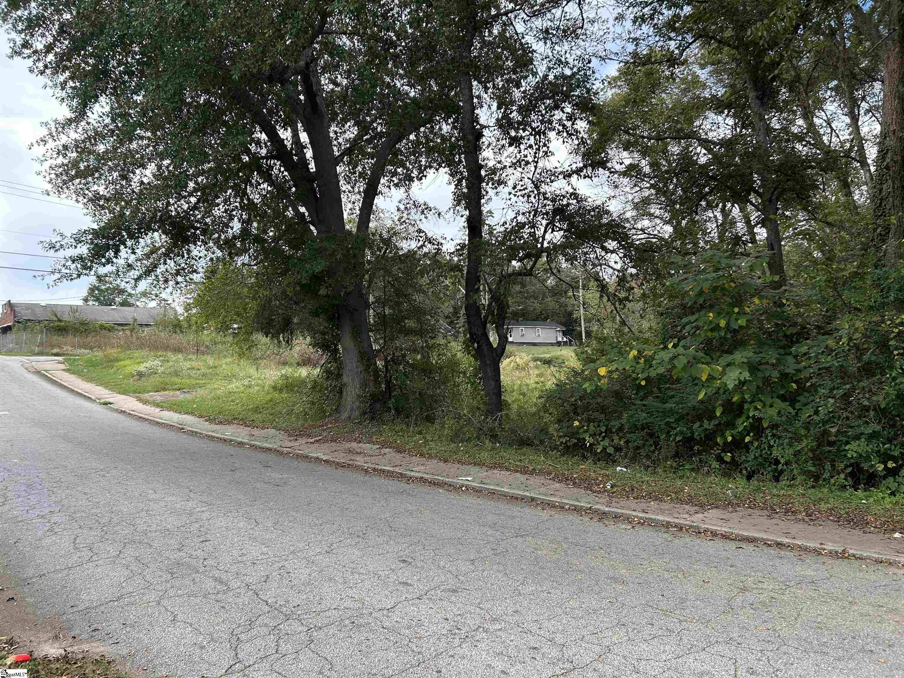 0 Sullivan Street Laurens, SC 29360 - Photo 2 of 4