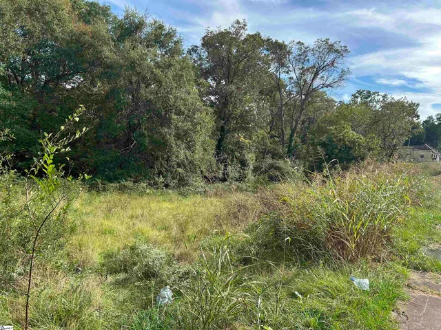 $40,000 | 0 Sullivan Street, Laurens, SC 29360