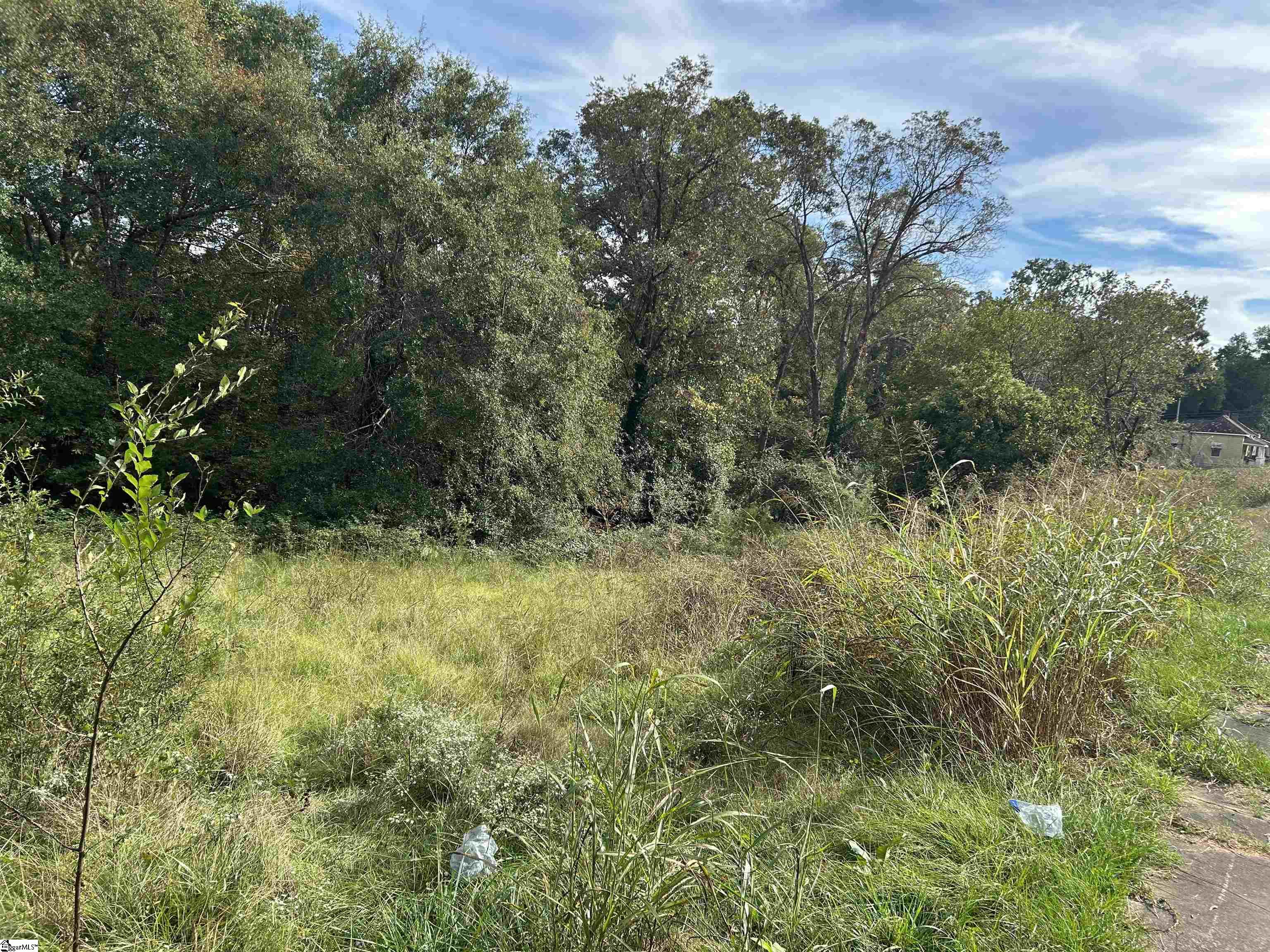 0 Sullivan Street Laurens, SC 29360 - Photo 4 of 4