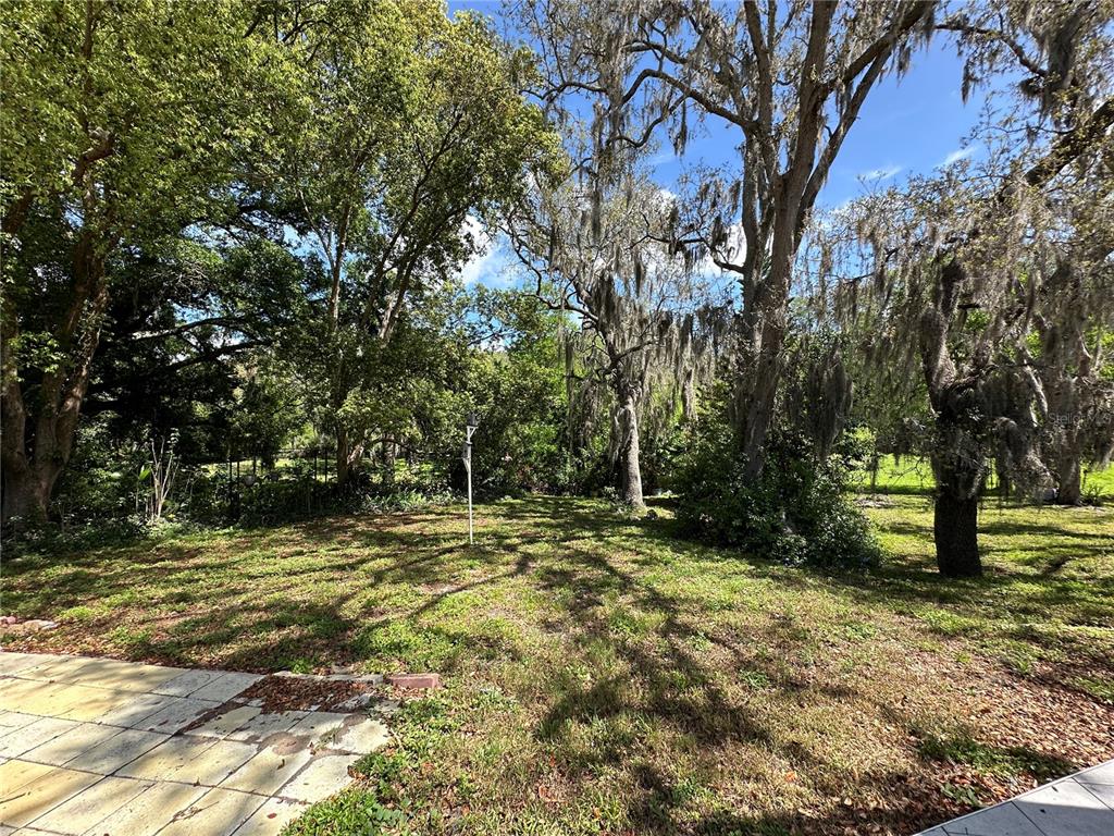 8809 Avondale Lane Hudson, FL 34667 - Photo 29 of 46 a view of outdoor space with trees all around