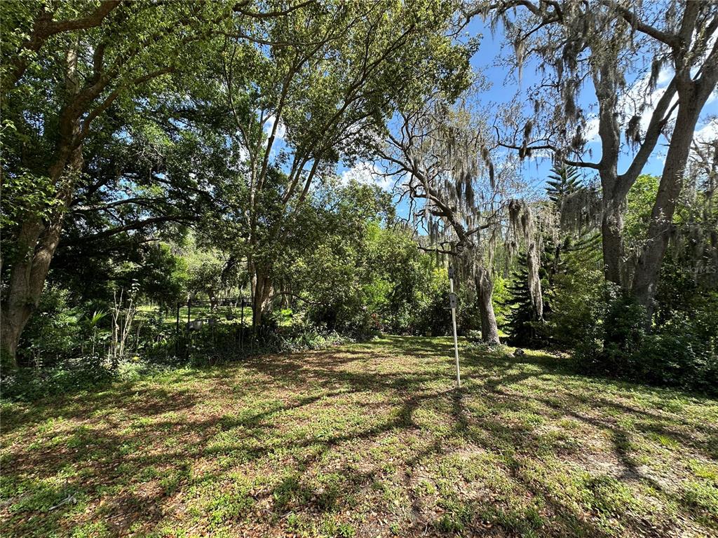 8809 Avondale Lane Hudson, FL 34667 - Photo 30 of 46 a backyard of a house with lots of plants and tree