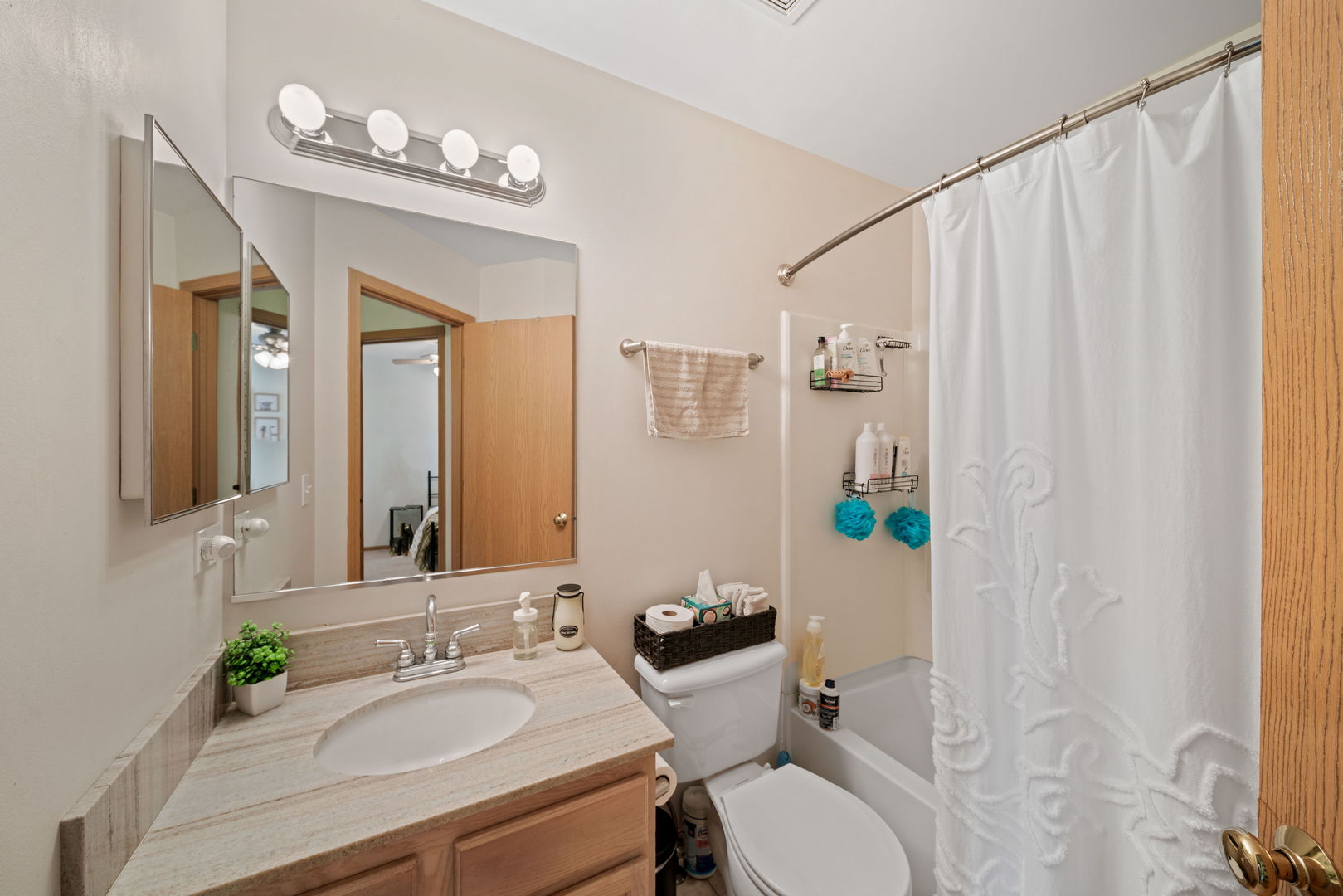 34325 North Barberry Road Round Lake, IL 60073 - Photo 13 of 21 a bathroom with a sink vanity mirror and toilet