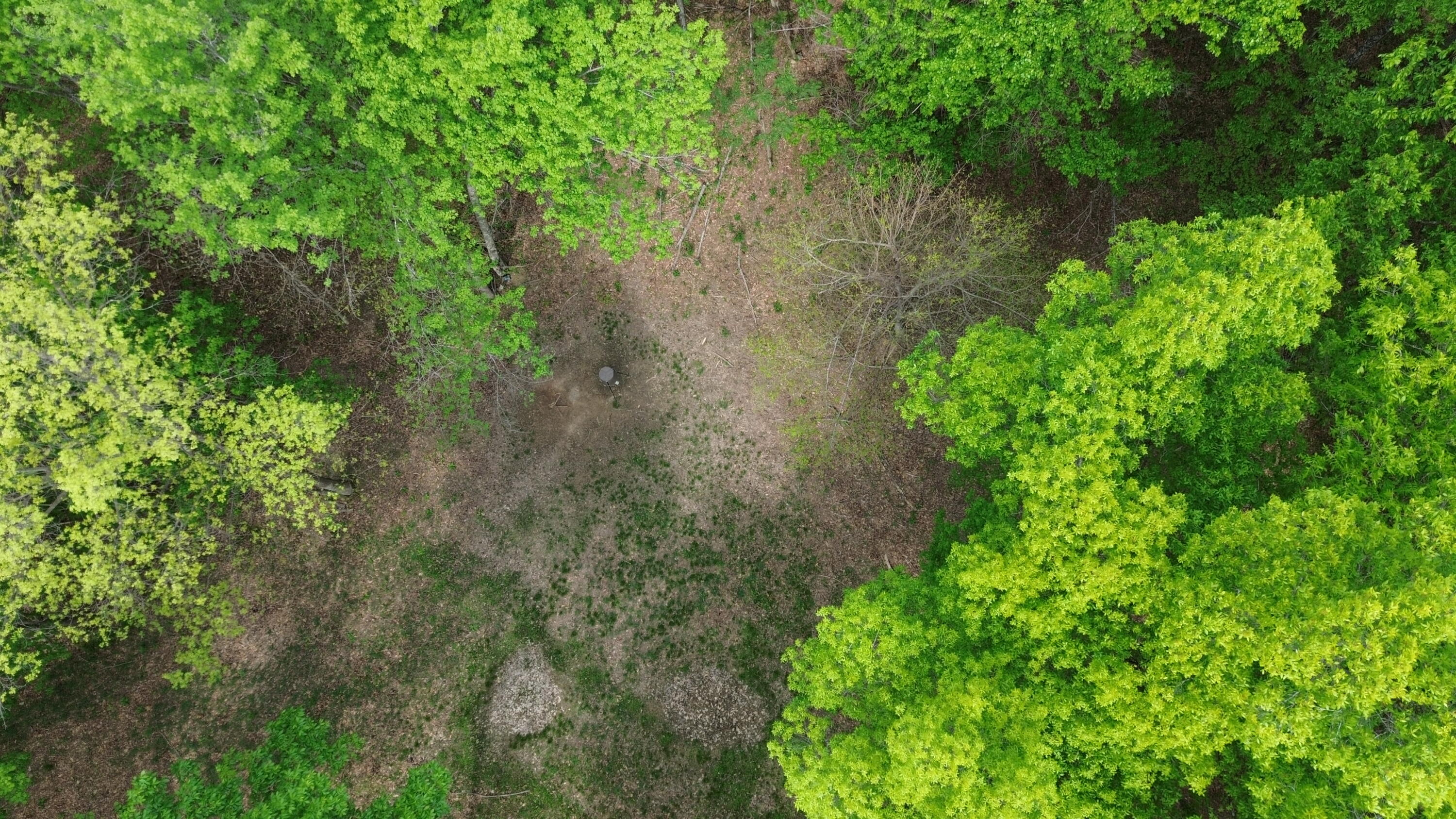 1271 A Tunnel Ridge Road Grayson, KY 41143 - Photo 85 of 134 Clearing Area
