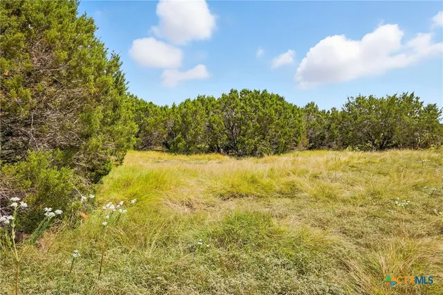 a view of yard with swimming pool and trees in the background