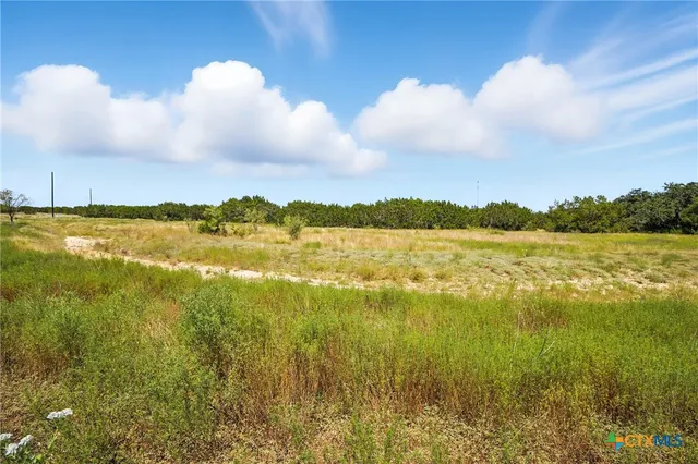 a view of an ocean and beach