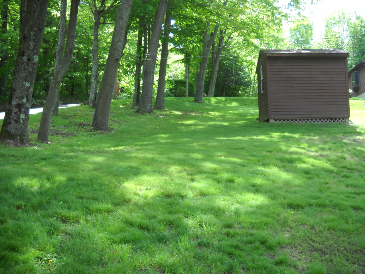 686 Pecks Road Pittsfield, MA 01201 - Photo 15 of 17 Shed