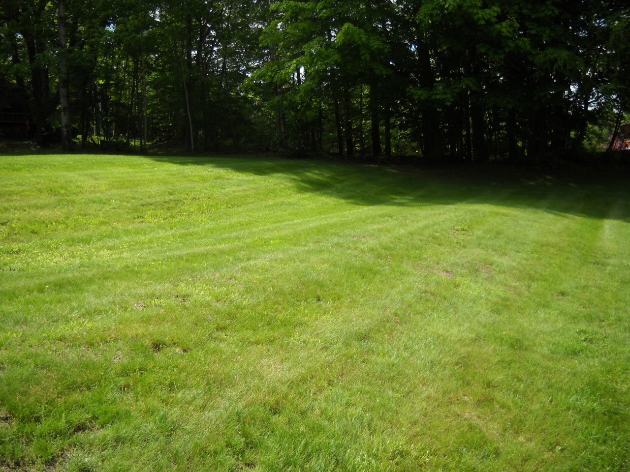 686 Pecks Road Pittsfield, MA 01201 - Photo 16 of 17 Yard