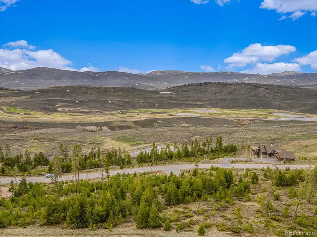 a close up of a plant