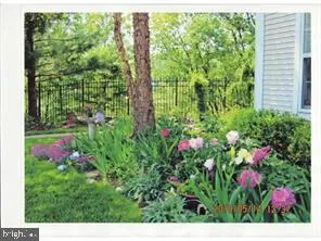 a view of a garden with flowers