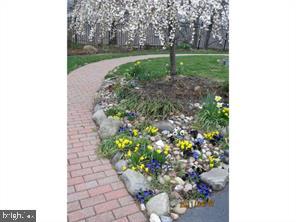 94 Lemonton Way Wayne, PA 19087 - Photo 12 of 12 a backyard of a house with lots of green space