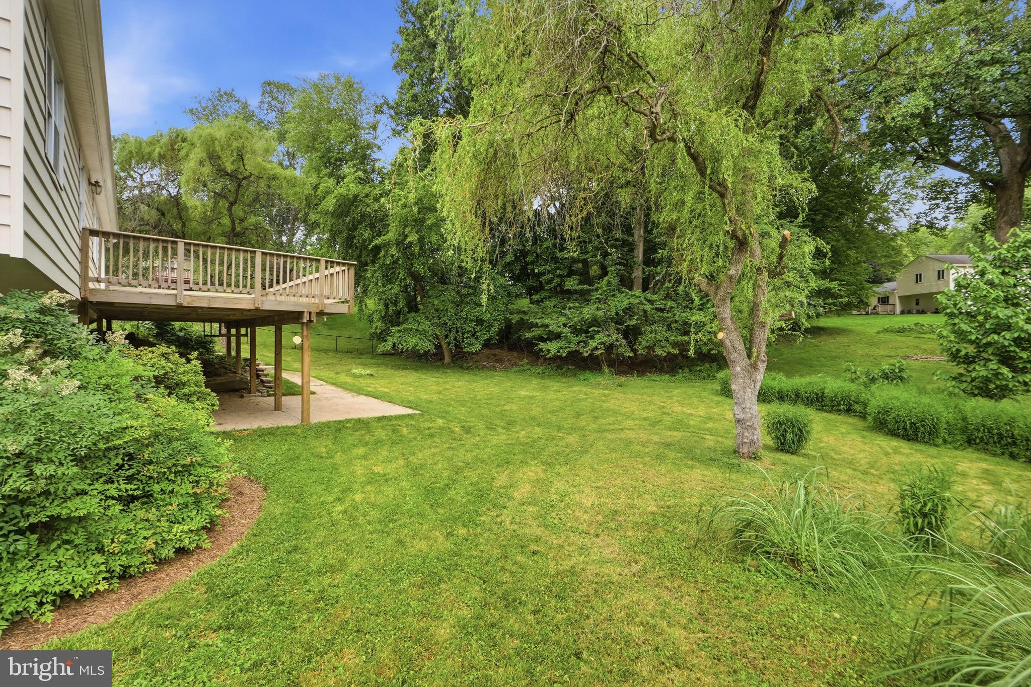 14204 Piccadilly Road Silver Spring, MD 20906 - Photo 36 of 42 Spacious backyard, professionally landscapped