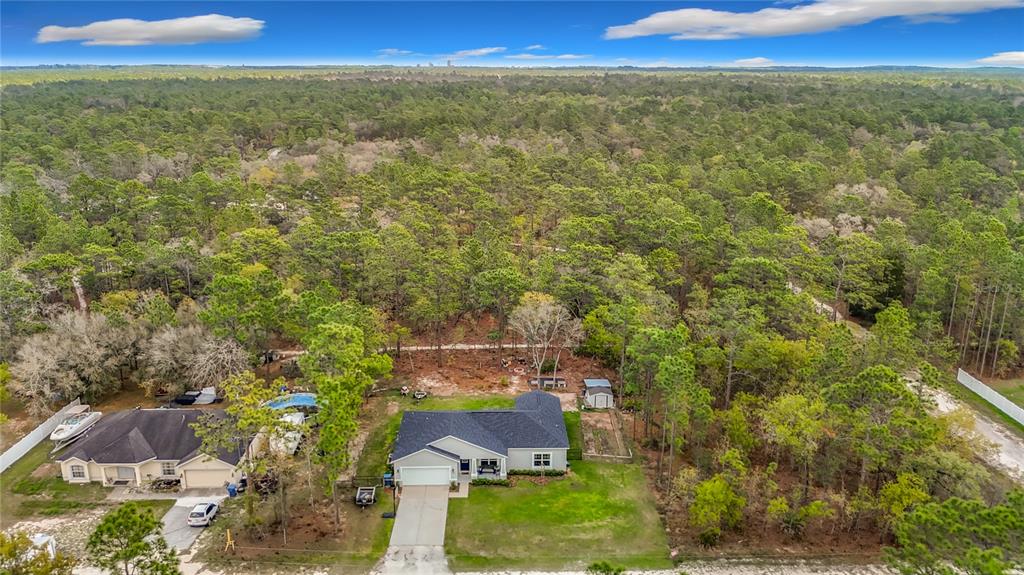 15062 Mt Ivy Road Weeki Wachee, FL 34614 - Photo 13 of 64