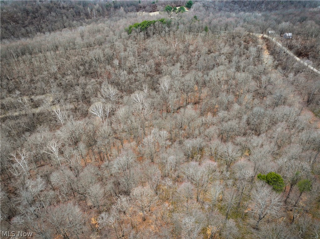 13 Ayers Ridge Lower Salem, OH 45745 - Photo 29 of 32 Drone / aerial view of a forest
