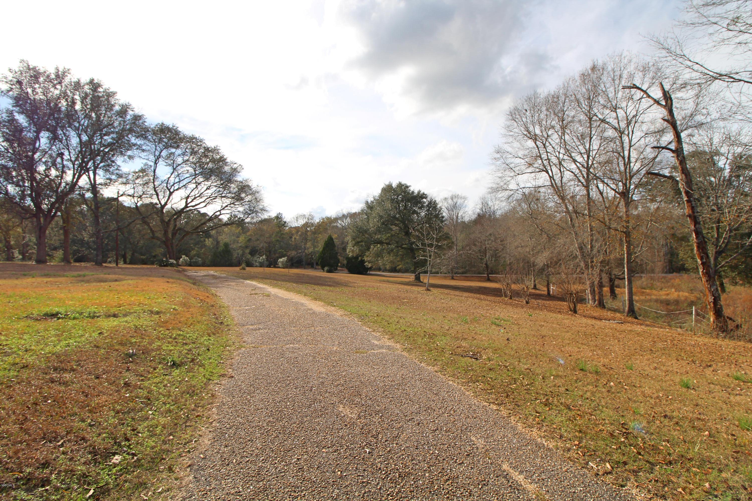 189 Devaughn Road Lucedale, MS 39452 - Photo 13 of 46 Driveway