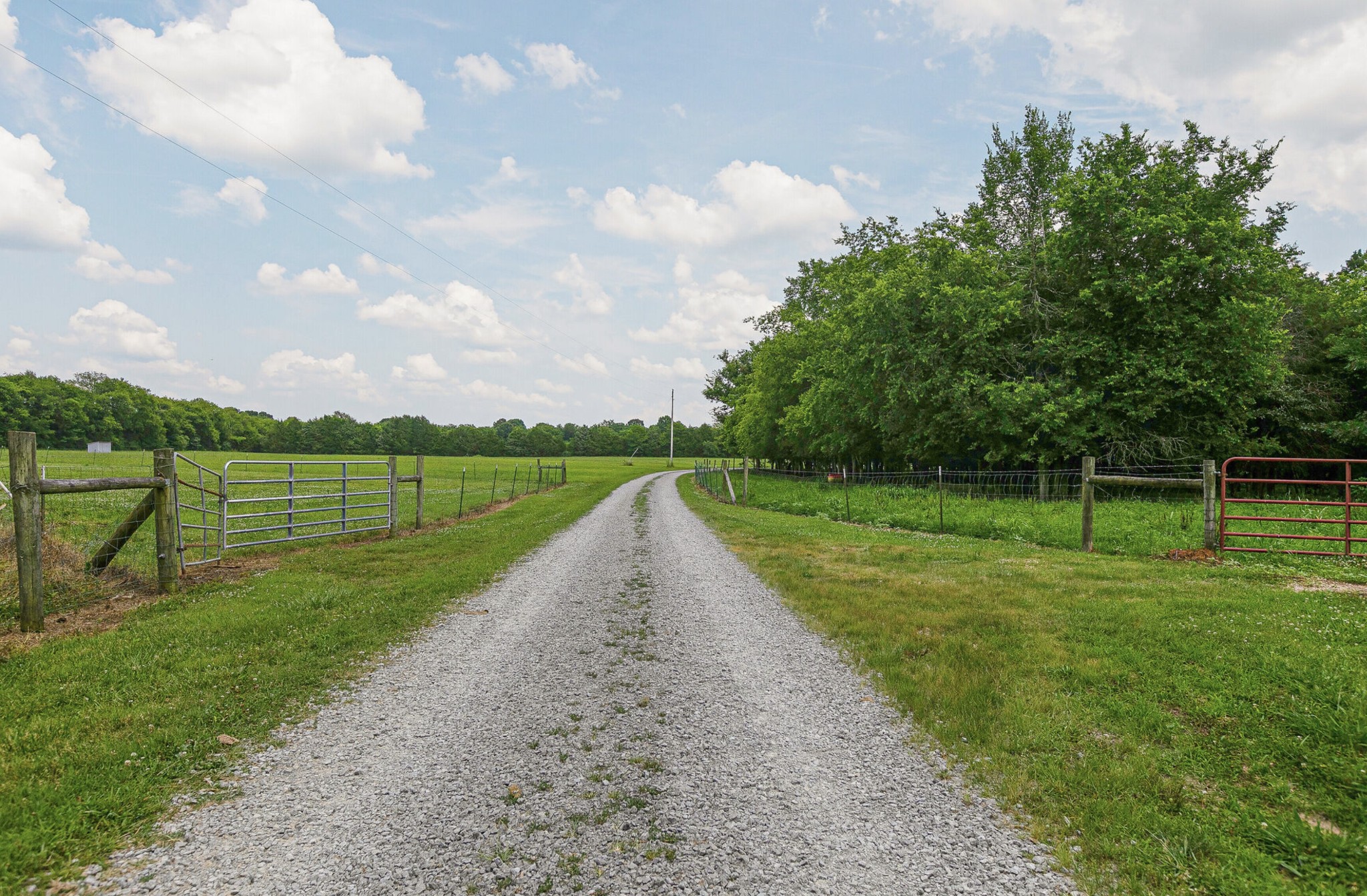 3008 Luke Moser Road Columbia, TN 38401 - Photo 29 of 44