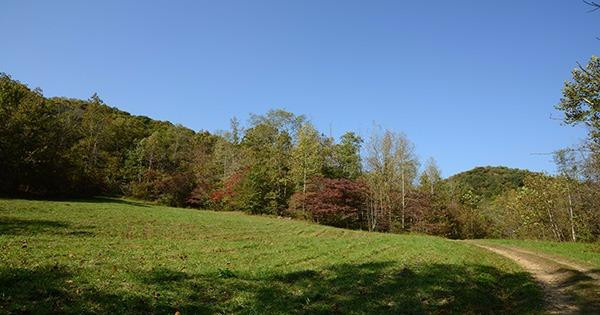 1 Anderson Branch Road Stanton, KY 40380 - Photo 18 of 27 Photo 18