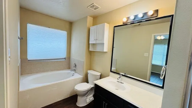 a bathroom with a sink mirror toilet and bathtub