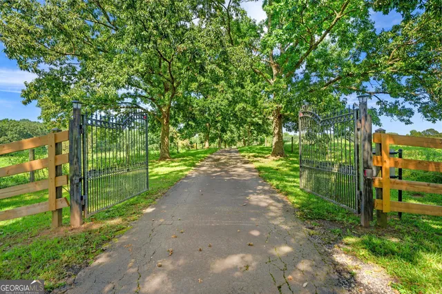 a view of park with large trees